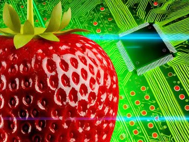 ai草莓,智能科技助力农业发展新篇章