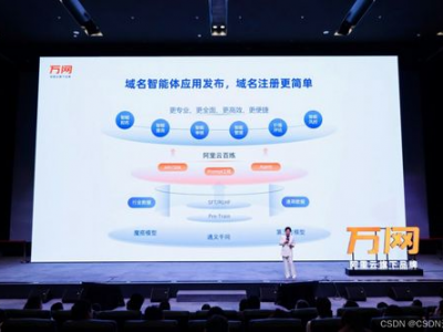 ai域名后缀,探索以.ai为后缀的域名新纪元