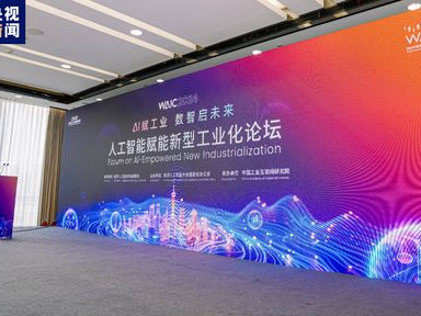 国内ai大模型公司,引领智能浪潮的先锋力量