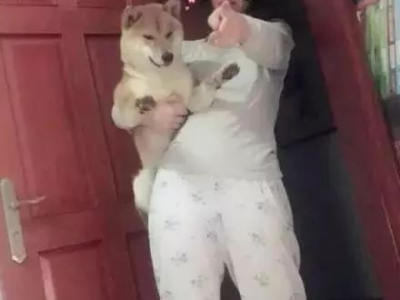 鎷塧i,揭开神秘古文明的神秘面纱
