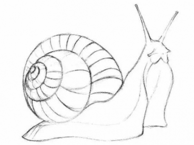 ai画蜗牛,AI描绘的自然之美