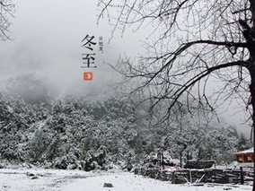 ai濡備綍瀵归綈,濡备綍瀵归綈的智慧之旅