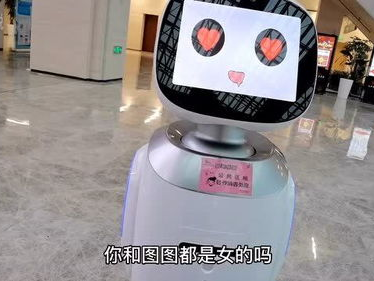 ai回复机器人,机器人的未来进化之路