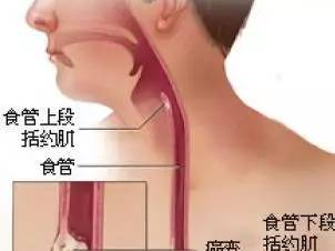 食道ai,食道癌的早期症状与防治策略解析