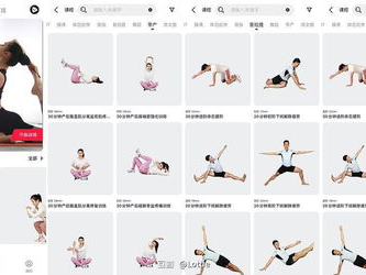 ai拉伸,探索未来智能拉伸技术的无限可能