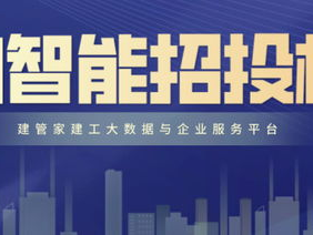 招投标ai,智能化助力高效决策与合规管理”