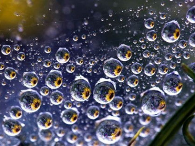 ai画雨滴,捕捉自然之韵的数字足迹