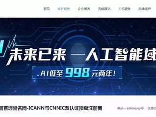 注册ai域名,注册专属域名,开启智能未来之旅